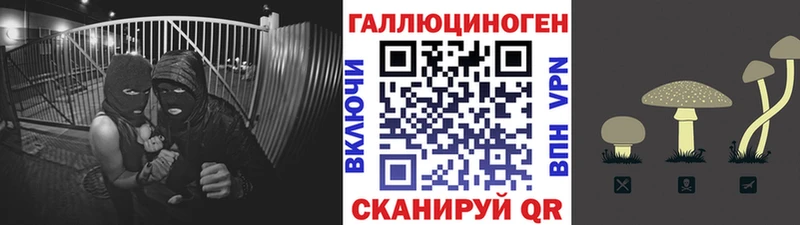 Галлюциногенные грибы Magic Shrooms  Чердынь 